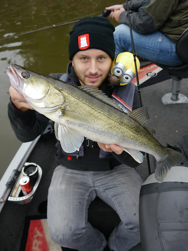 Pro-Guiding-Zander17306