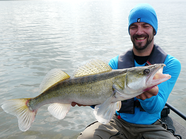Pro-Guiding-Zander17311