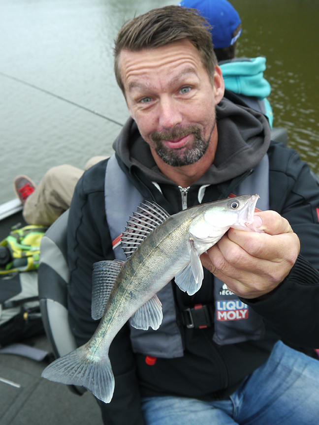 Pro-Guiding-Zander17313