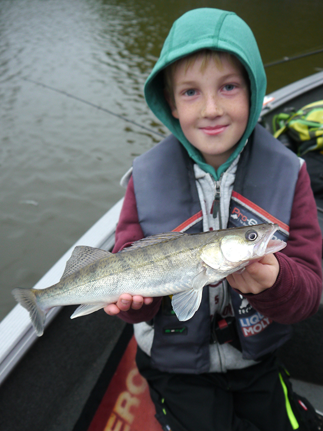 Pro-Guiding-Zander17314