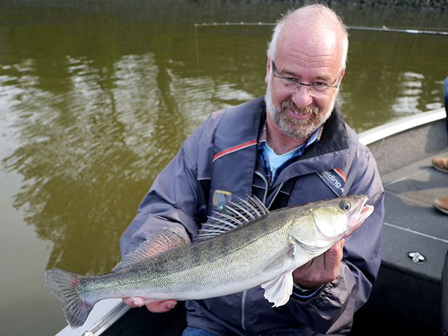 Pro-Guiding-Zander17315