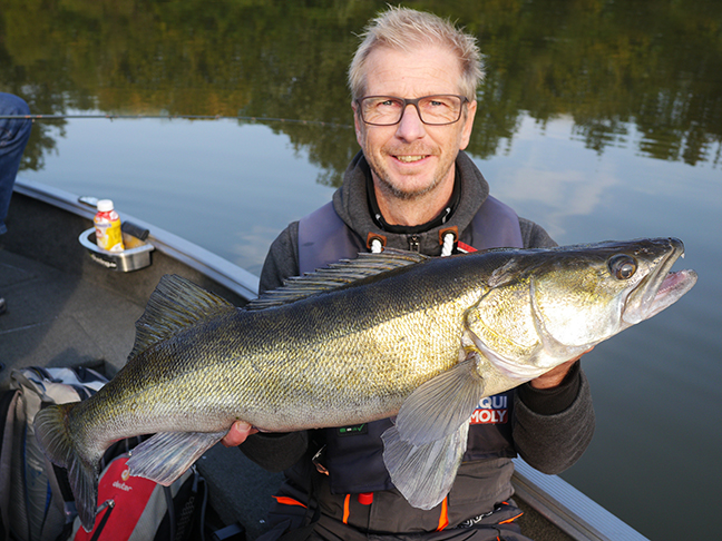 Pro-Guiding-Zander17316