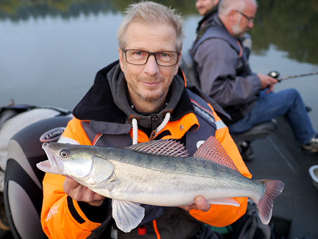 Pro-Guiding-Zander17319