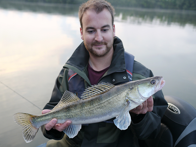 Pro-Guiding-Zander17320