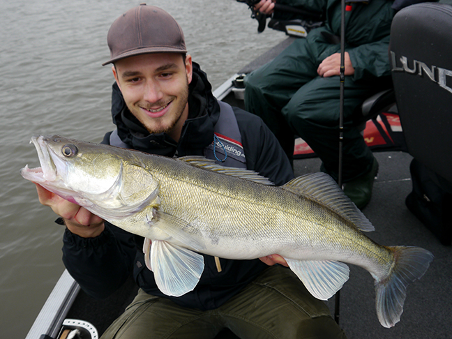 Pro-Guiding-Zander17330