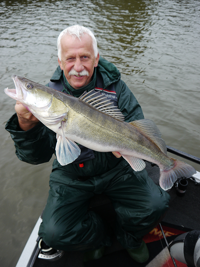 Pro-Guiding-Zander17331