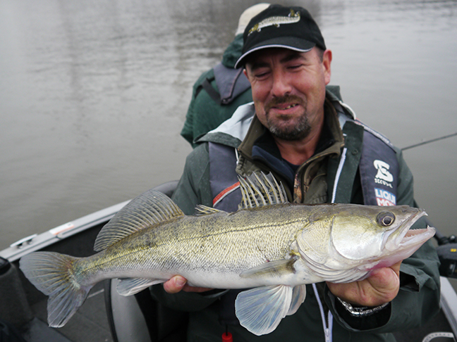 Pro-Guiding-Zander17333