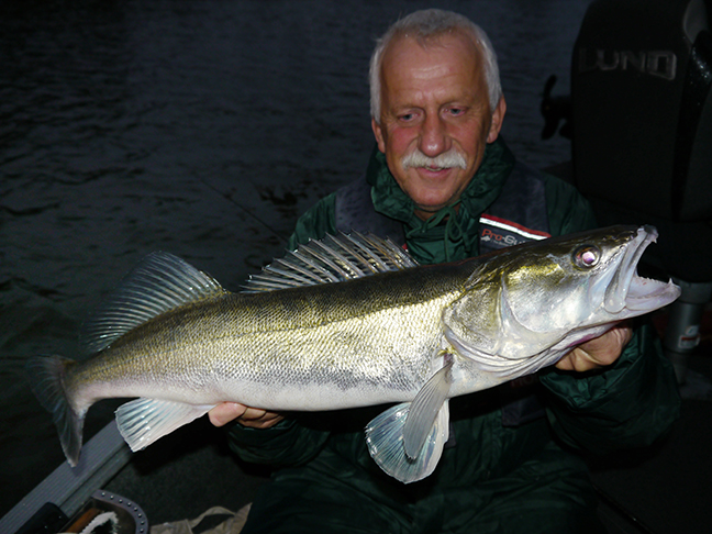Pro-Guiding-Zander17334