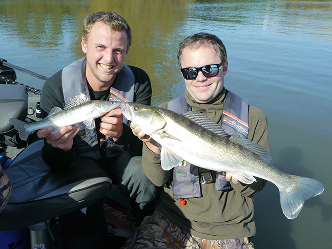 Pro-Guiding-Zander17339