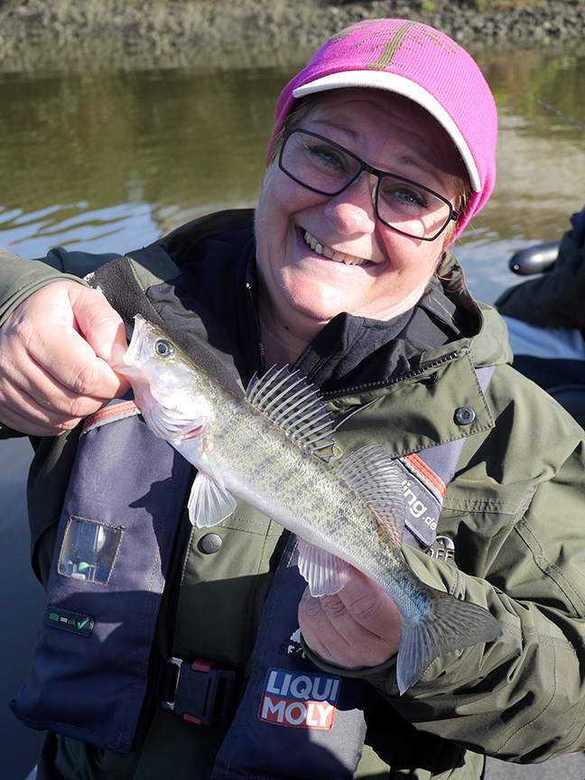Pro-Guiding-Zander17341