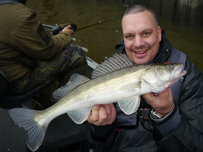 Pro-Guiding-Zander17351