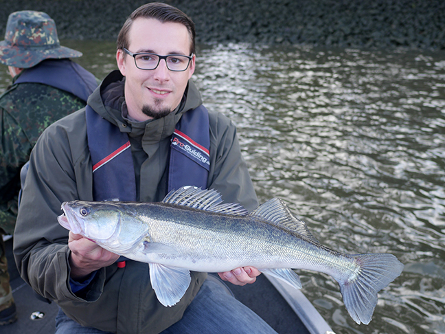 Pro-Guiding-Zander17356