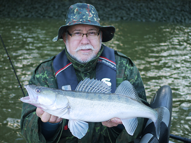 Pro-Guiding-Zander17358