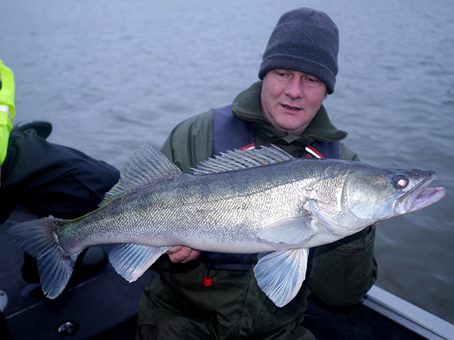 Pro-Guiding-Zander17362