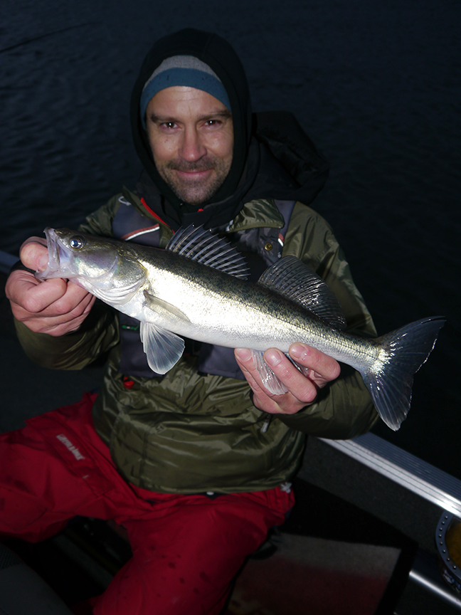 Pro-Guiding-Zander17365