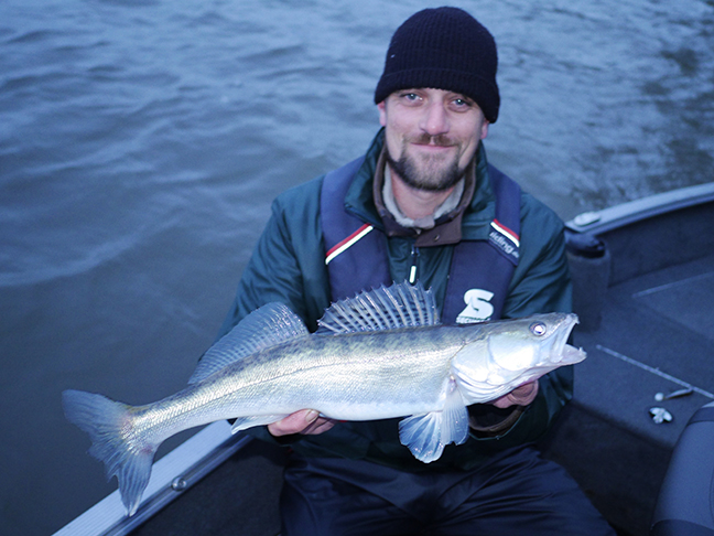 Pro-Guiding-Zander17369