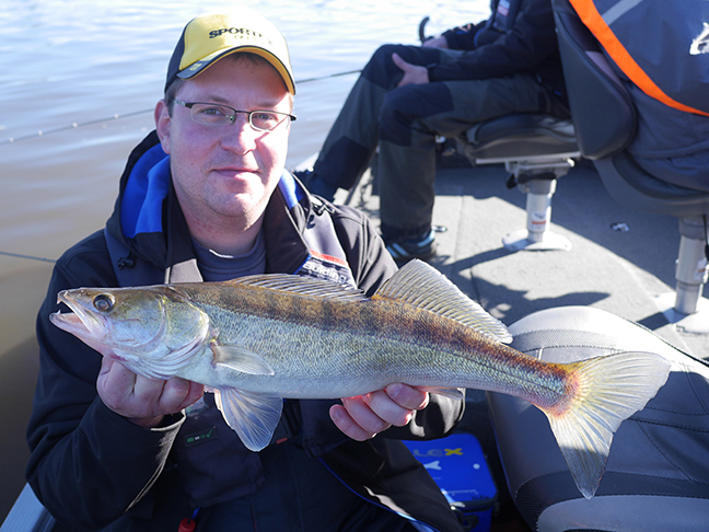 Pro-Guiding-Zander17374