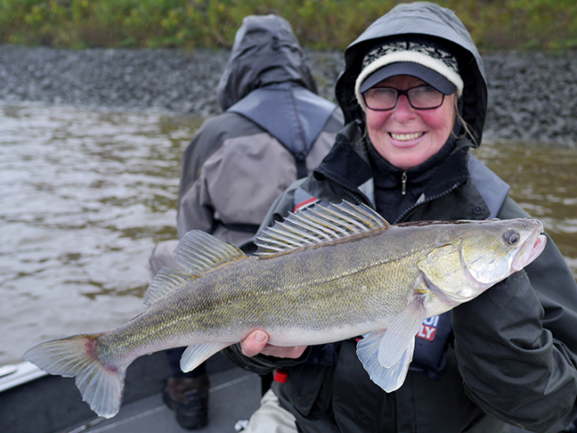 Pro-Guiding-Zander17381