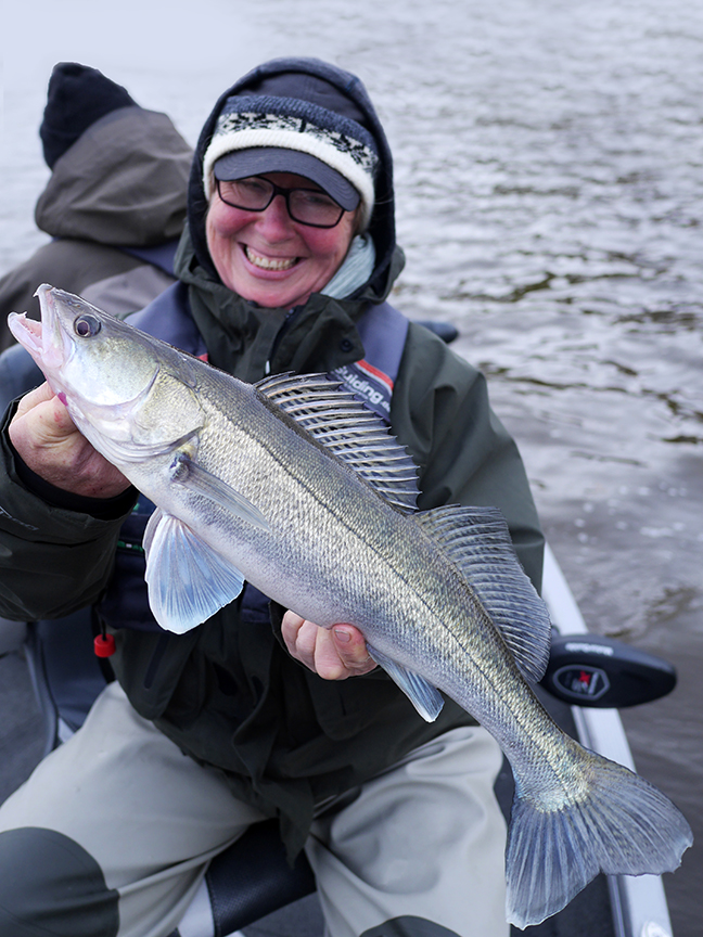 Pro-Guiding-Zander17388