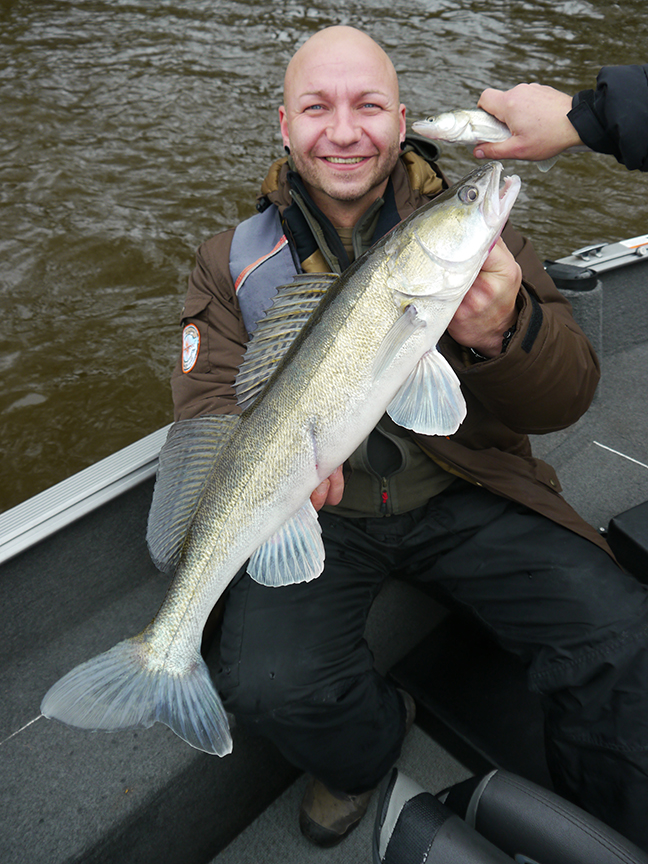 Pro-Guiding-Zander17390
