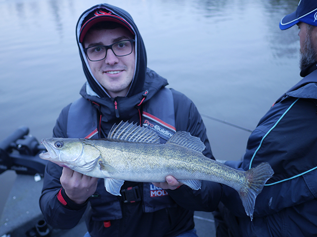 Pro-Guiding-Zander17394