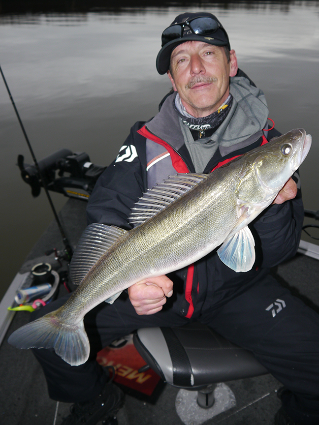 Pro-Guiding-Zander17407