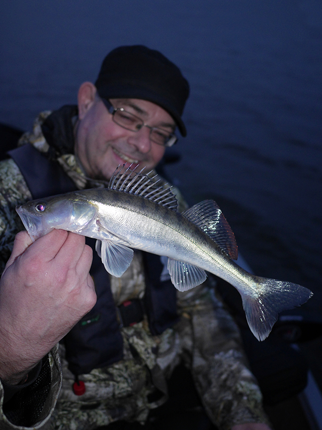 Pro-Guiding-Zander17411