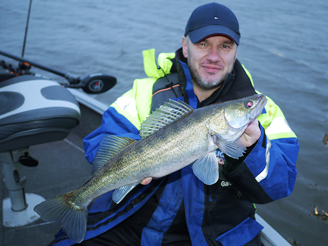 Pro-Guiding-Zander17425