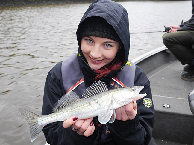 Pro-Guiding-Zander17427