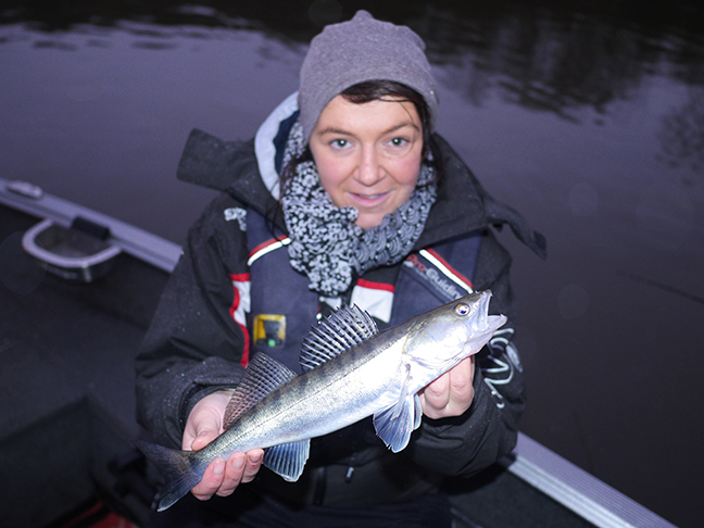 Pro-Guiding-Zander17428