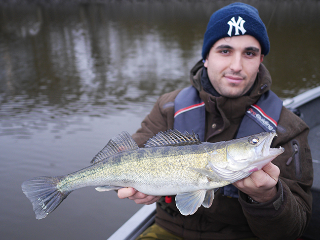 Pro-Guiding-Zander17430