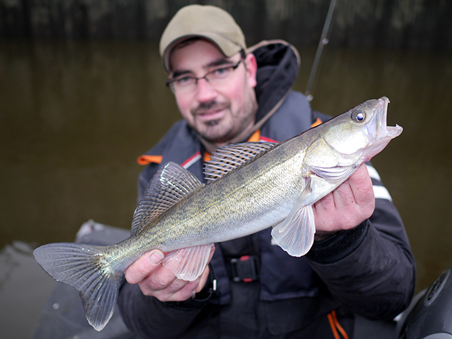 Pro-Guiding-Zander17431