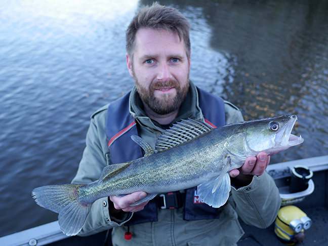 Pro-Guiding-Zander17453