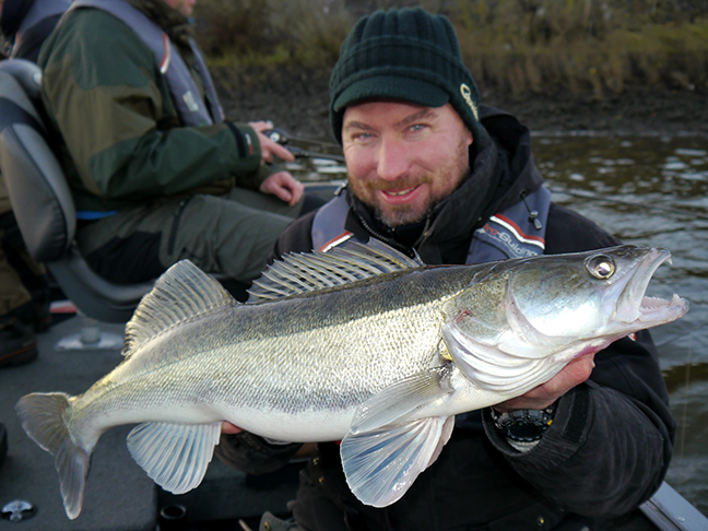 Pro-Guiding-Zander17456