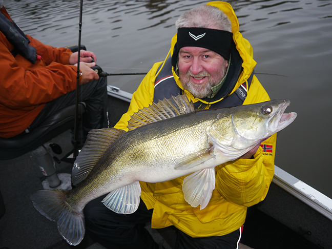Pro-Guiding-Zander17460