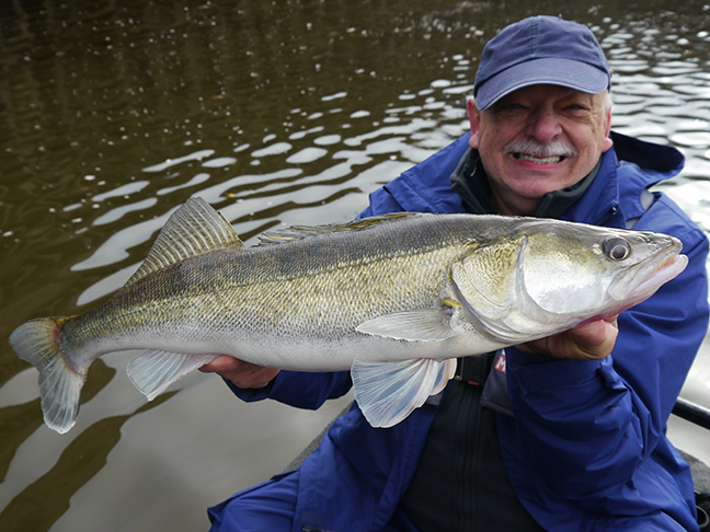Pro-Guiding-Zander17465
