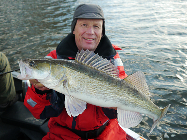 Pro-Guiding-Zander17513