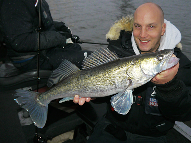 Pro-Guiding-Zander17494