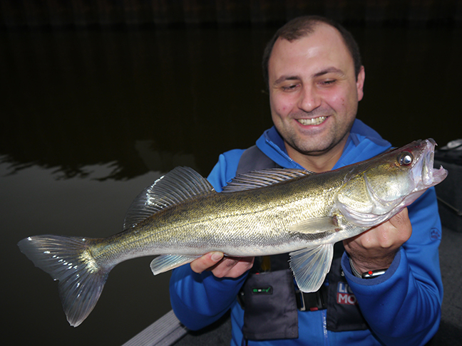 Pro-Guiding-Zander18062
