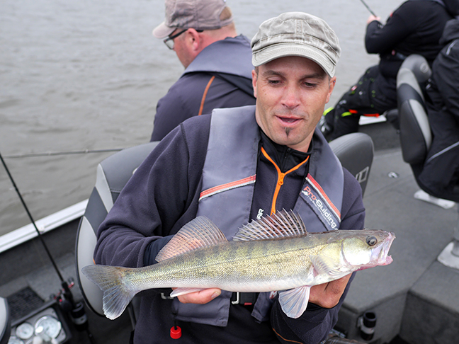 Pro-Guiding-Zander18063