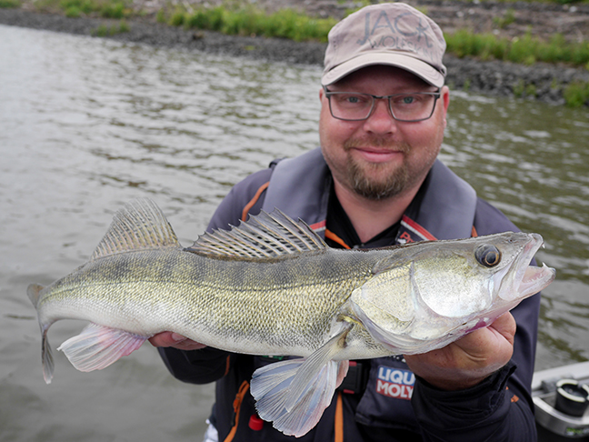 Pro-Guiding-Zander18065