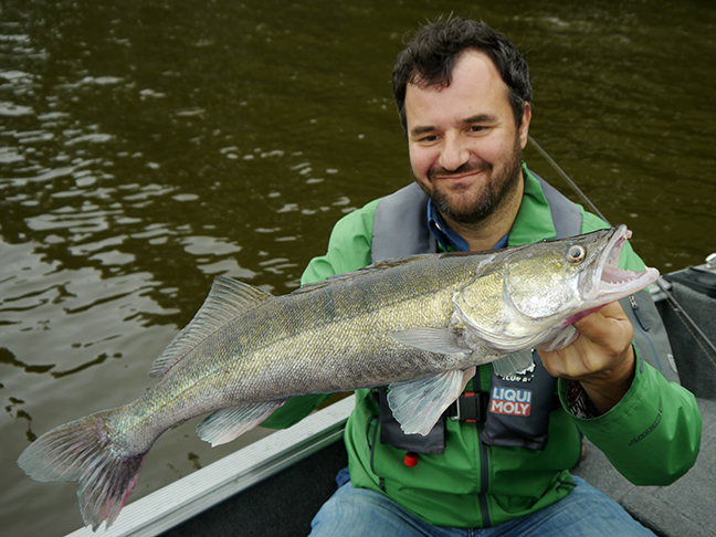 Pro-Guiding-Zander18068