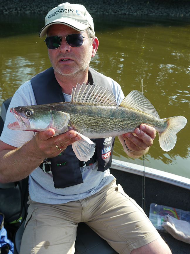 Pro-Guiding-Zander18069
