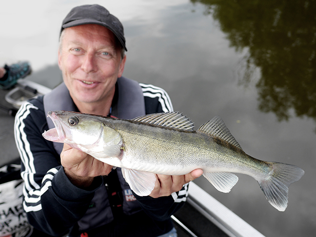 Pro-Guiding-Zander18076