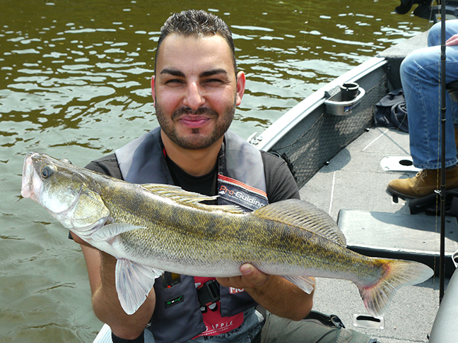 Pro-Guiding-Zander18077