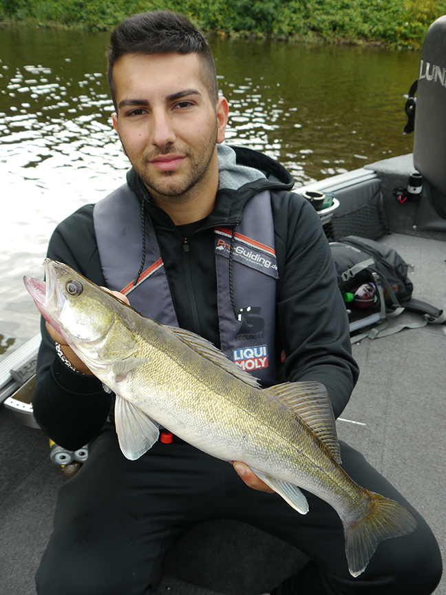Pro-Guiding-Zander18102