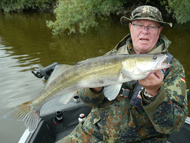 Pro-Guiding-Zander18104