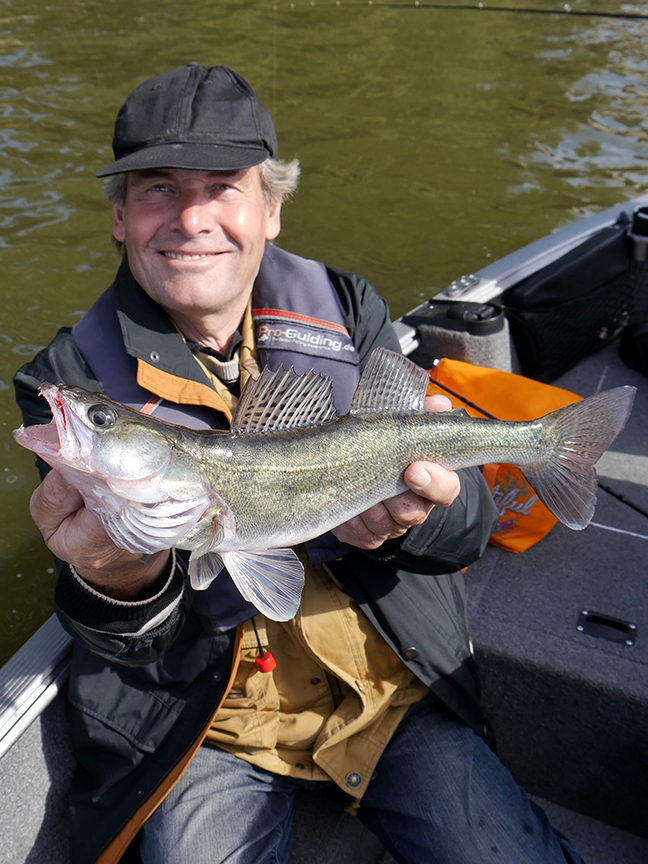 Pro-Guiding-Zander18239